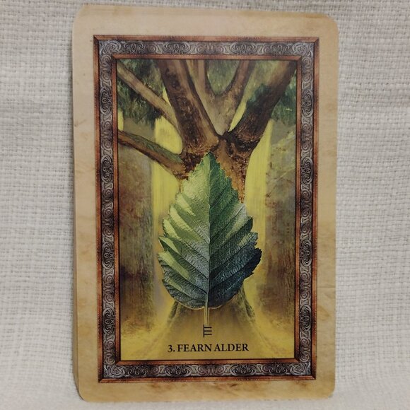 Celtic Tree Oracle - Picture 6 of 12